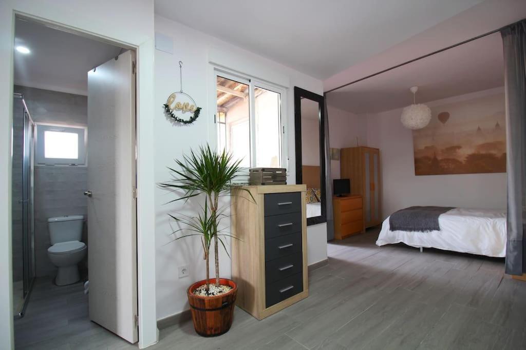 Suite Puerta Osario Con Terraza เซบีญา ภายนอก รูปภาพ